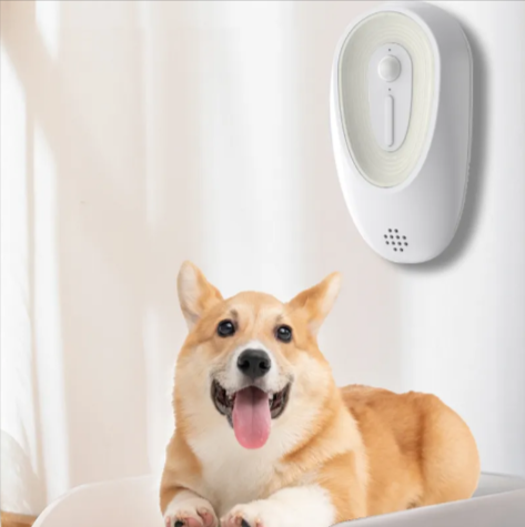 Pet Odor Eliminator